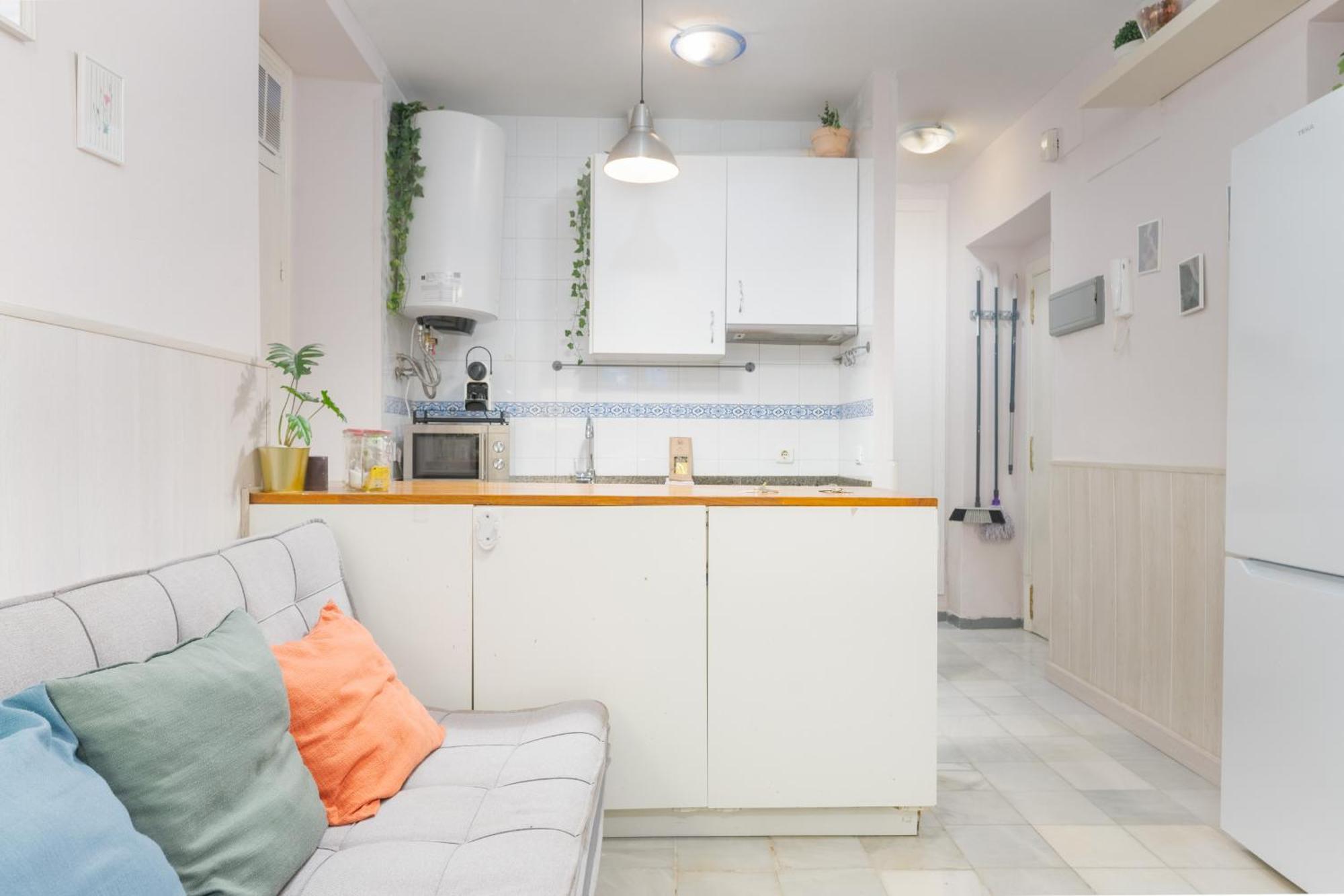 Appartement Functional And Pretty-1bd 1bth- San Vicente Séville