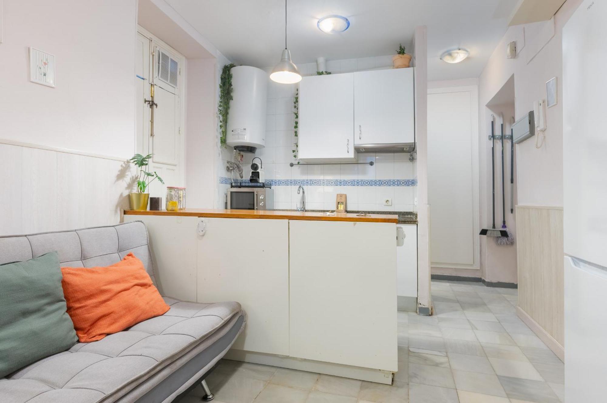 Functional And Pretty-1bd 1bth- San Vicente Séville